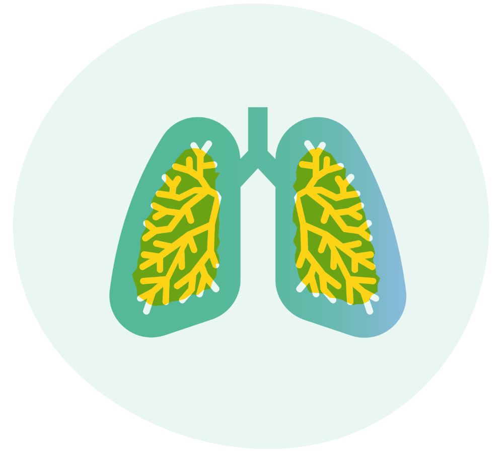 lungs icon